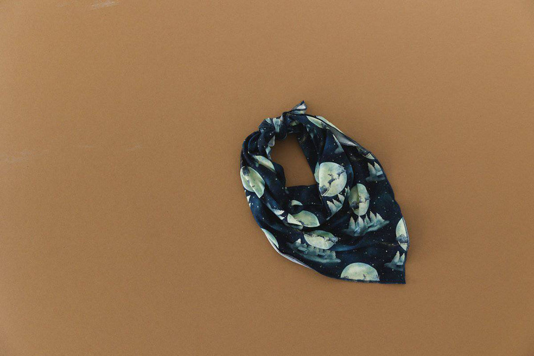 PREORDER Merry Night Dog Bandana - scoots
