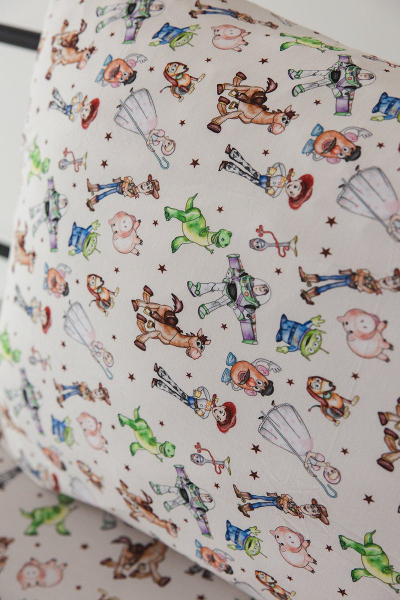 Round Up Twin Sheet + Pillowcase - scoots