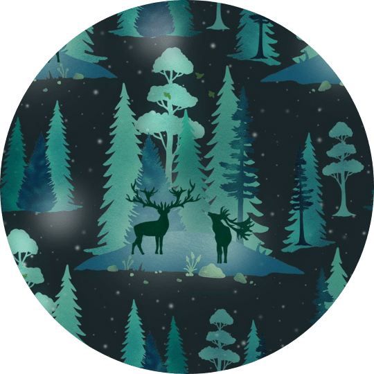 Northern Lights - scoots
