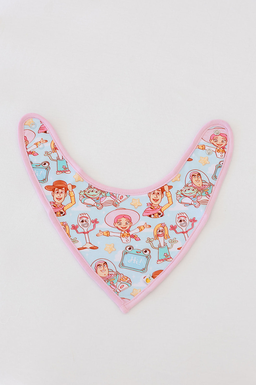 Bonnie's Room Bib