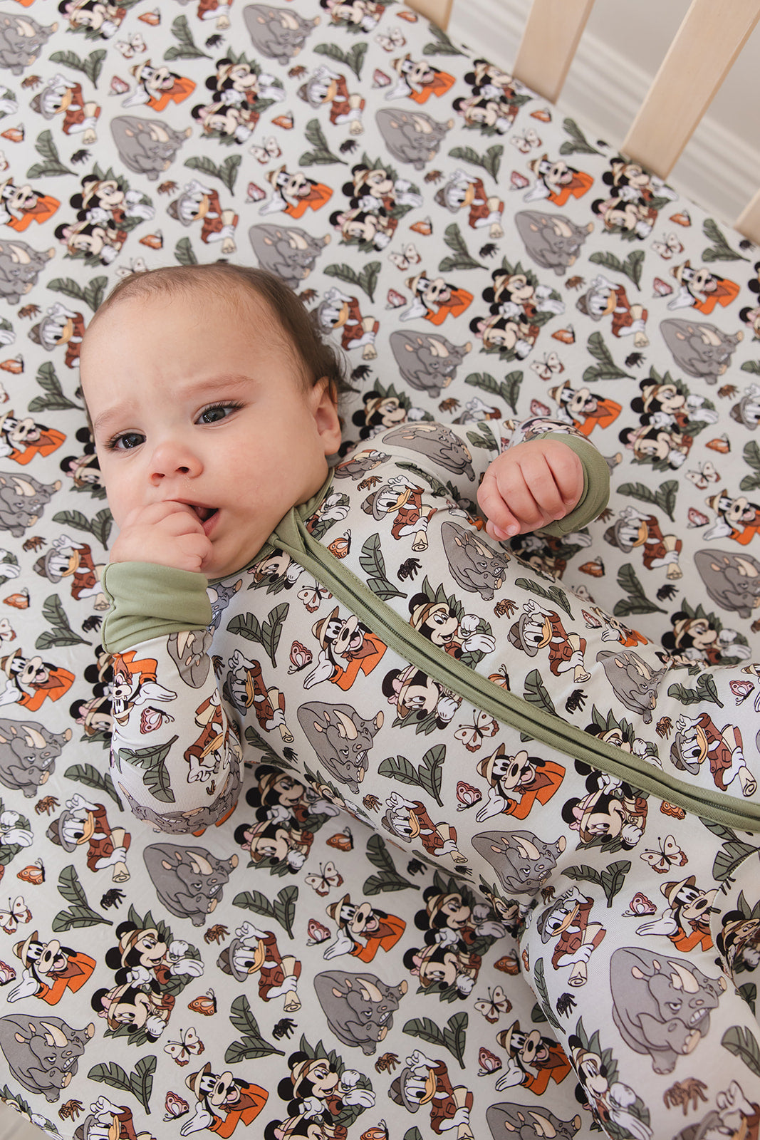 Safari Zippy