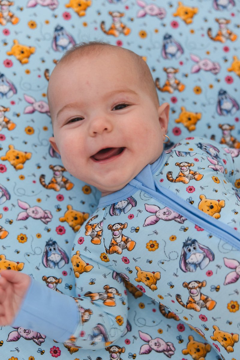 Hundred Acre Zippy - scoots