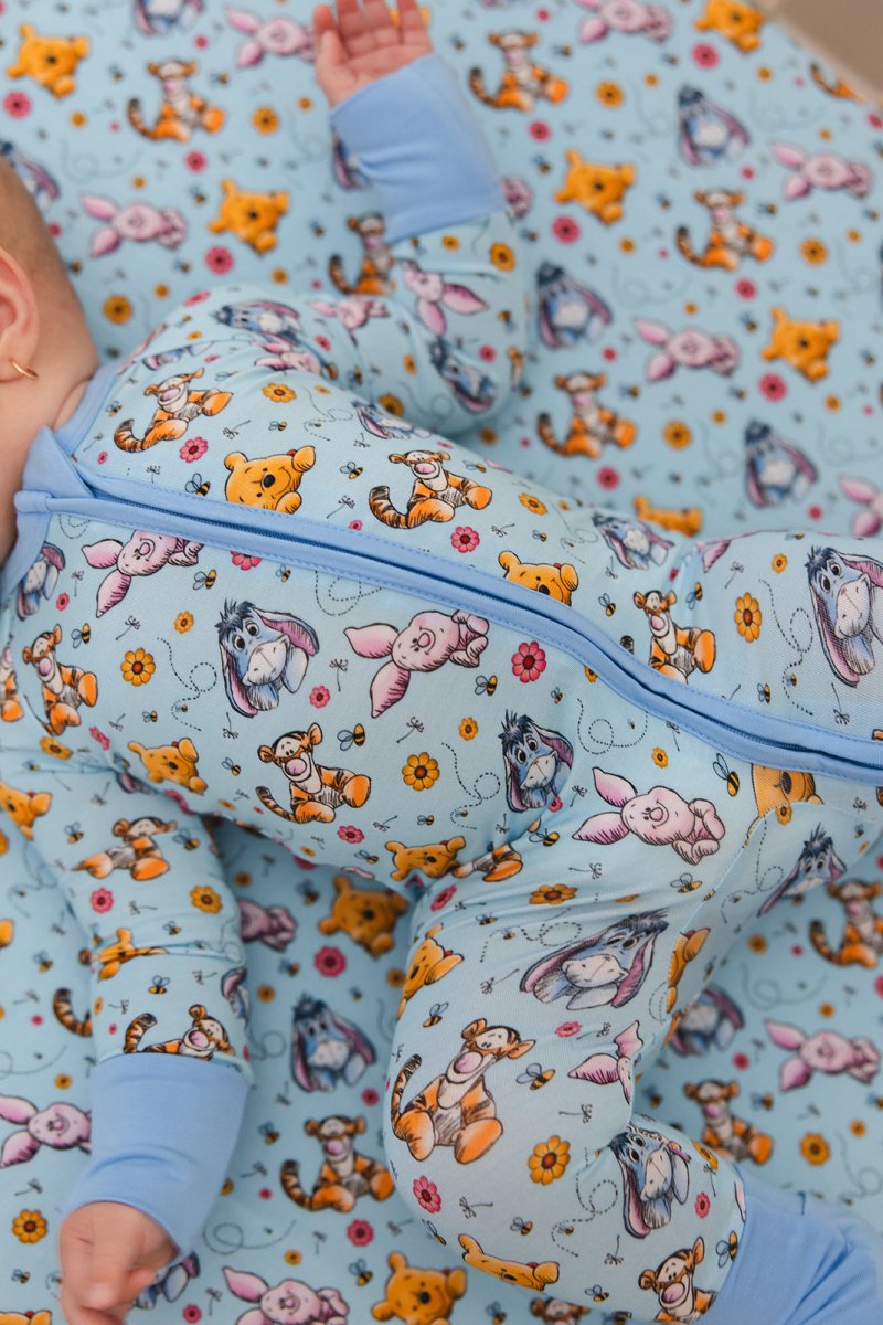 Hundred Acre Zippy - scoots