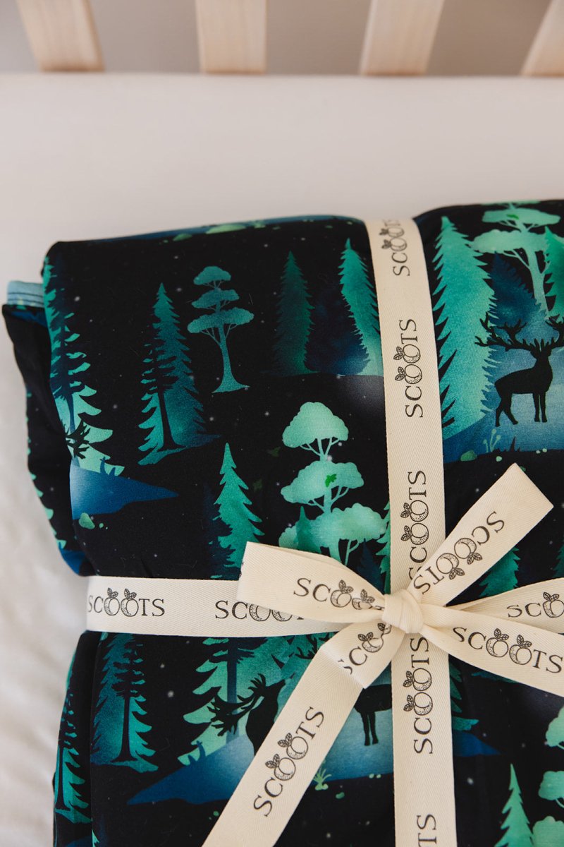 Northern Lights Plush Blanket - scoots
